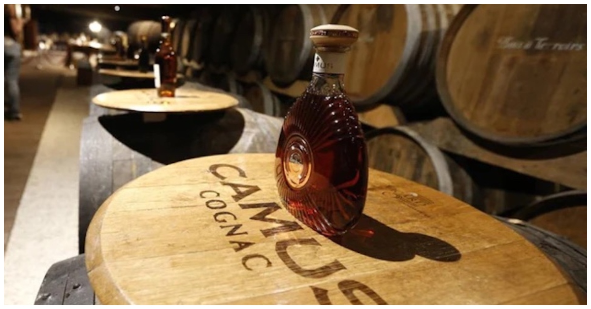 Camus: Western Company Ventures into Chinese Whisky with $30 Million Distillery Blending Baiju, Cognac, and Scottish Techniques