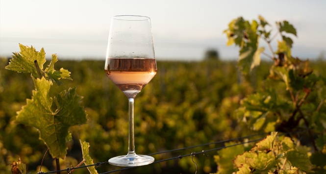 Younger Generations Drive Rise in Eco-Conscious and Health-Focused Wine Choices